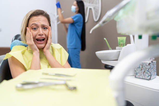 Best Emergency Cosmetic Dentistry (e.g., broken veneers) in Belleair, FL